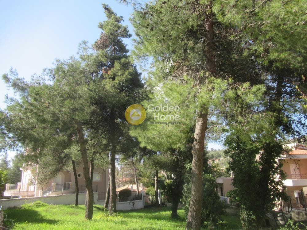 Building Plot in Rodopoli, Rodopoli — Photo 6 of 16