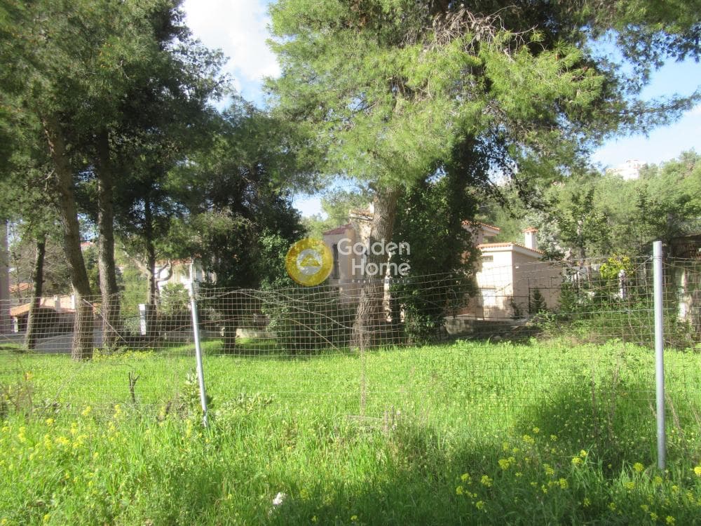 Building Plot in Rodopoli, Rodopoli — Photo 7 of 16