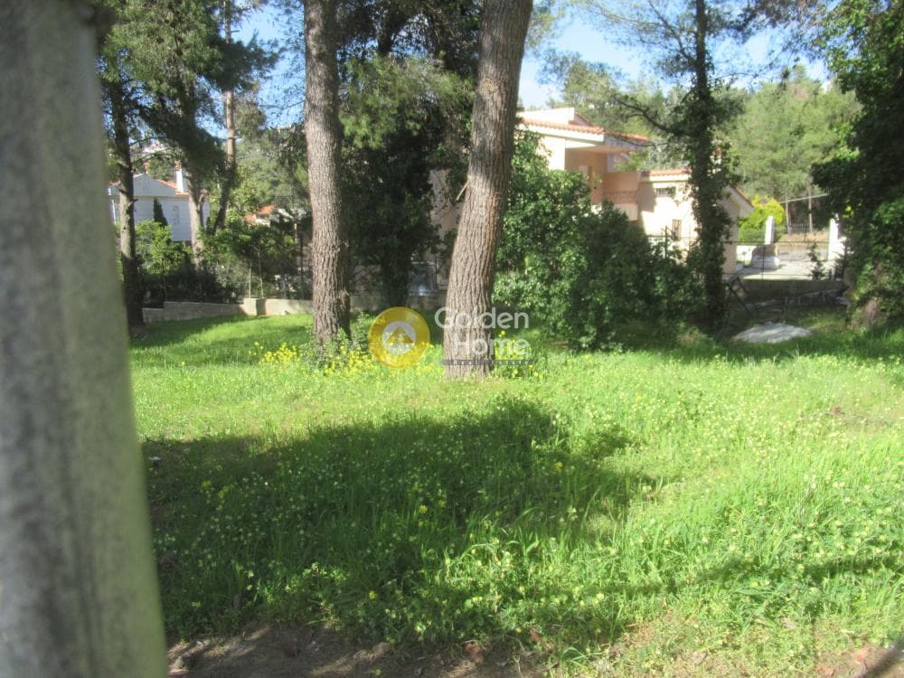 Building Plot in Rodopoli, Rodopoli — Photo 8 of 16