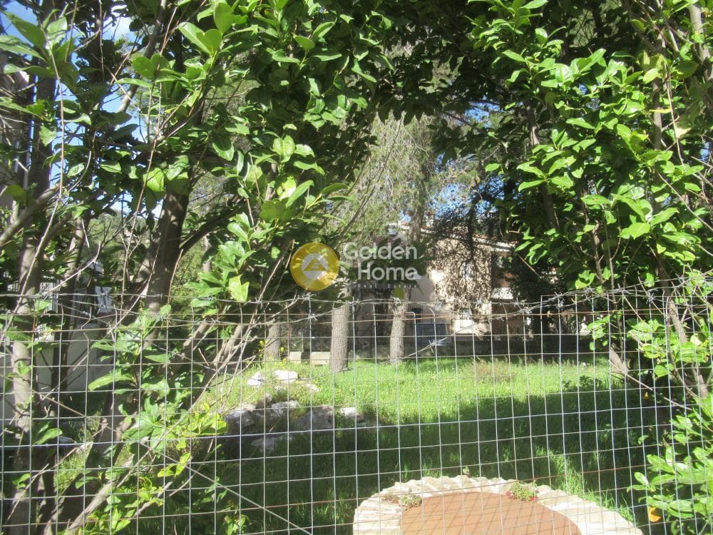 Building Plot in Rodopoli, Rodopoli — Photo 1 of 16