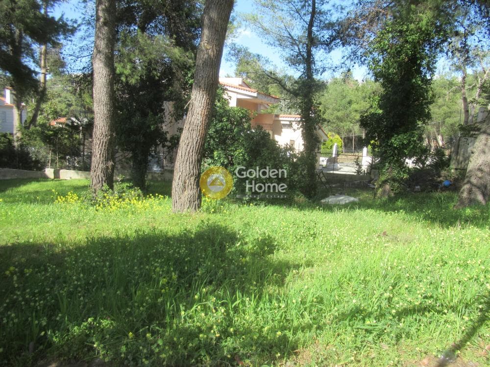 Building Plot in Rodopoli, Rodopoli — Photo 10 of 16