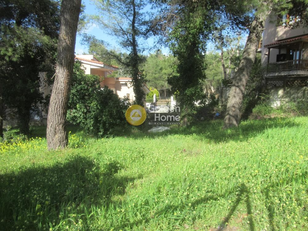 Building Plot in Rodopoli, Rodopoli — Photo 11 of 16