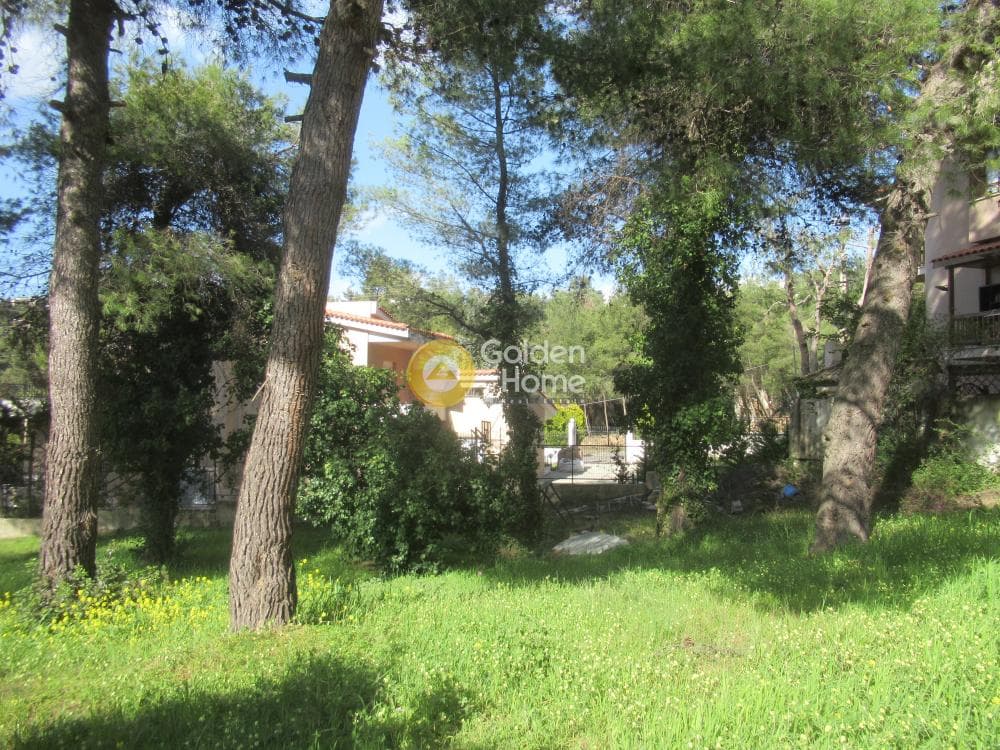 Building Plot in Rodopoli, Rodopoli — Photo 12 of 16