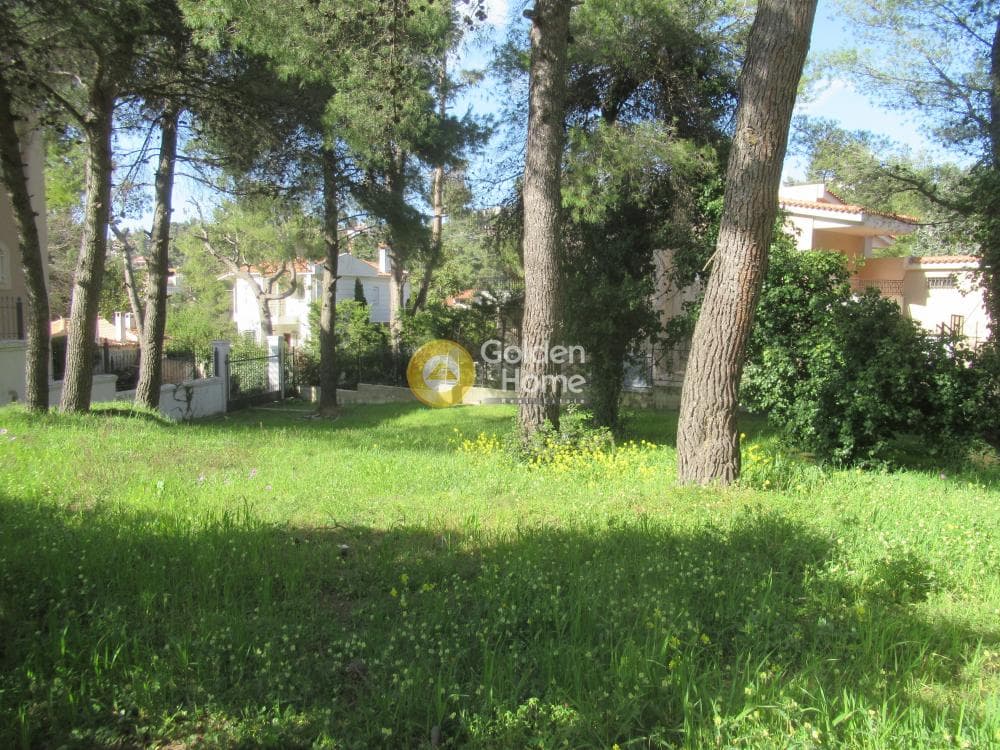 Building Plot in Rodopoli, Rodopoli — Photo 13 of 16