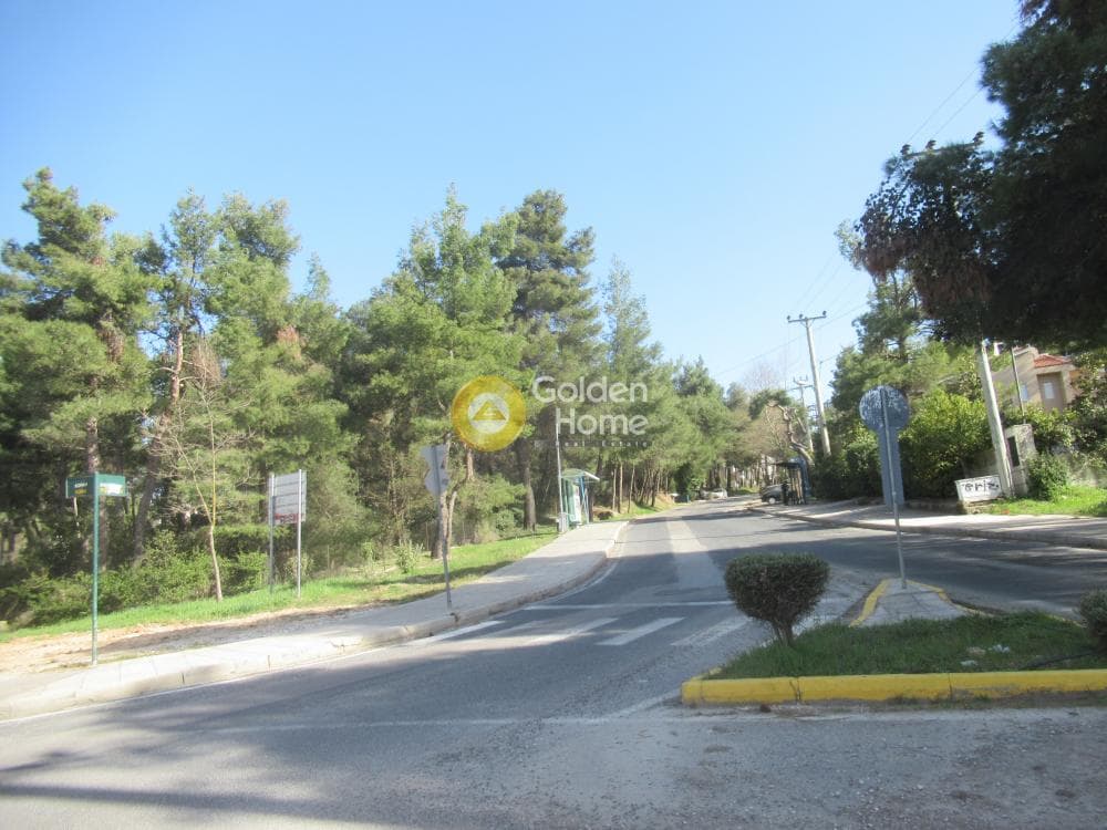 Building Plot in Rodopoli, Rodopoli — Photo 16 of 16