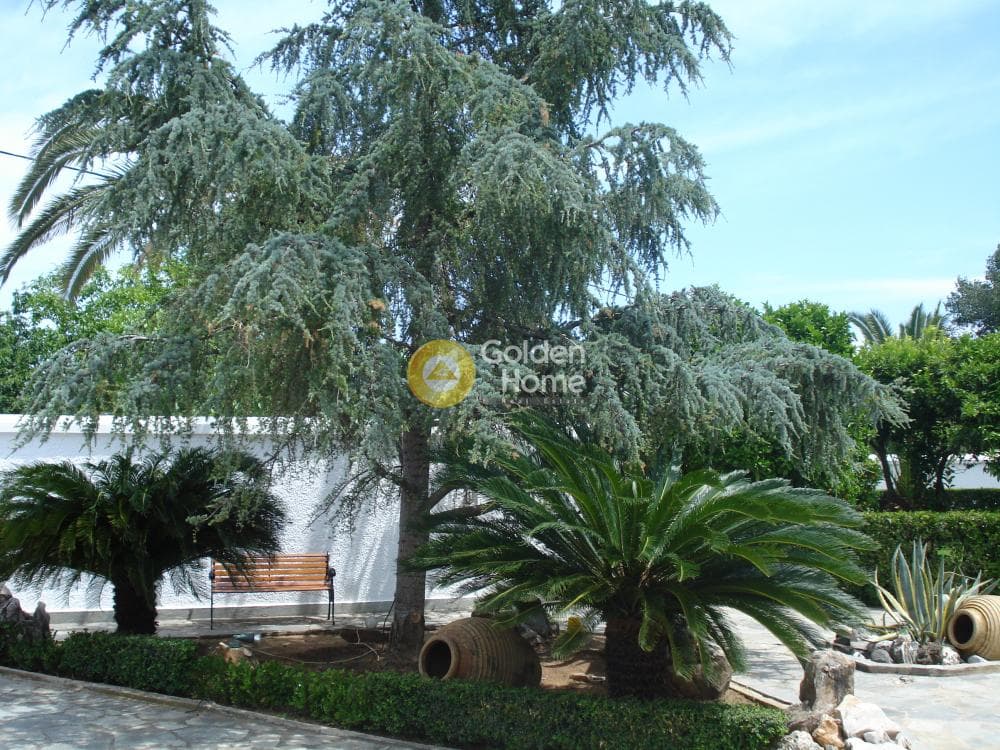 House in Agios Panteleimonas, Nea Makri — Photo 4 of 39