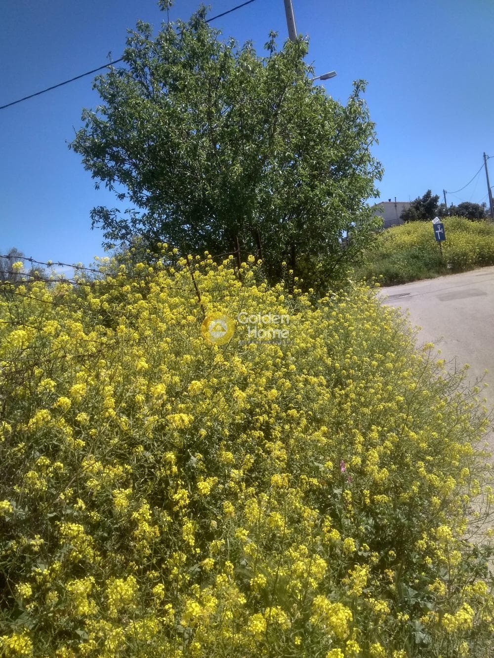 Οικόπεδο στην Σωρός, Μαρούσι — Φωτογραφία 10 από 10