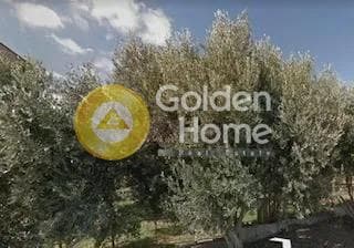 Οικόπεδο στην Καλλιθέα, Πεντέλη