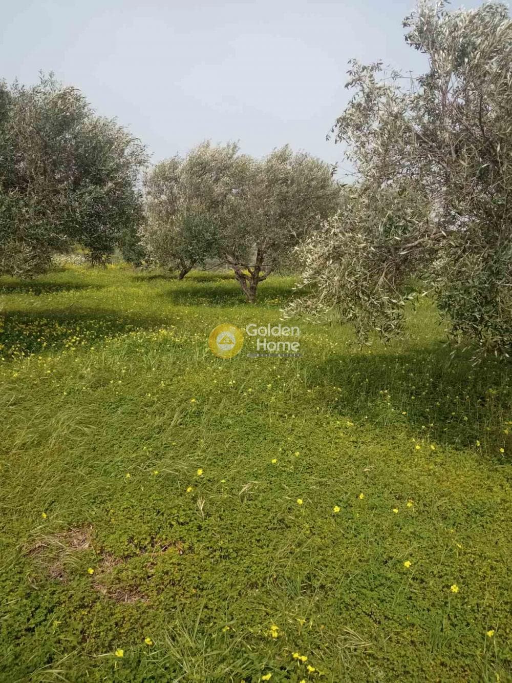 Building Plot in Sgourokefali, Episkopi — Photo 4 of 7