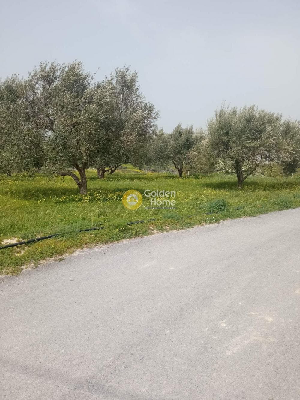 Building Plot in Sgourokefali, Episkopi — Photo 3 of 7