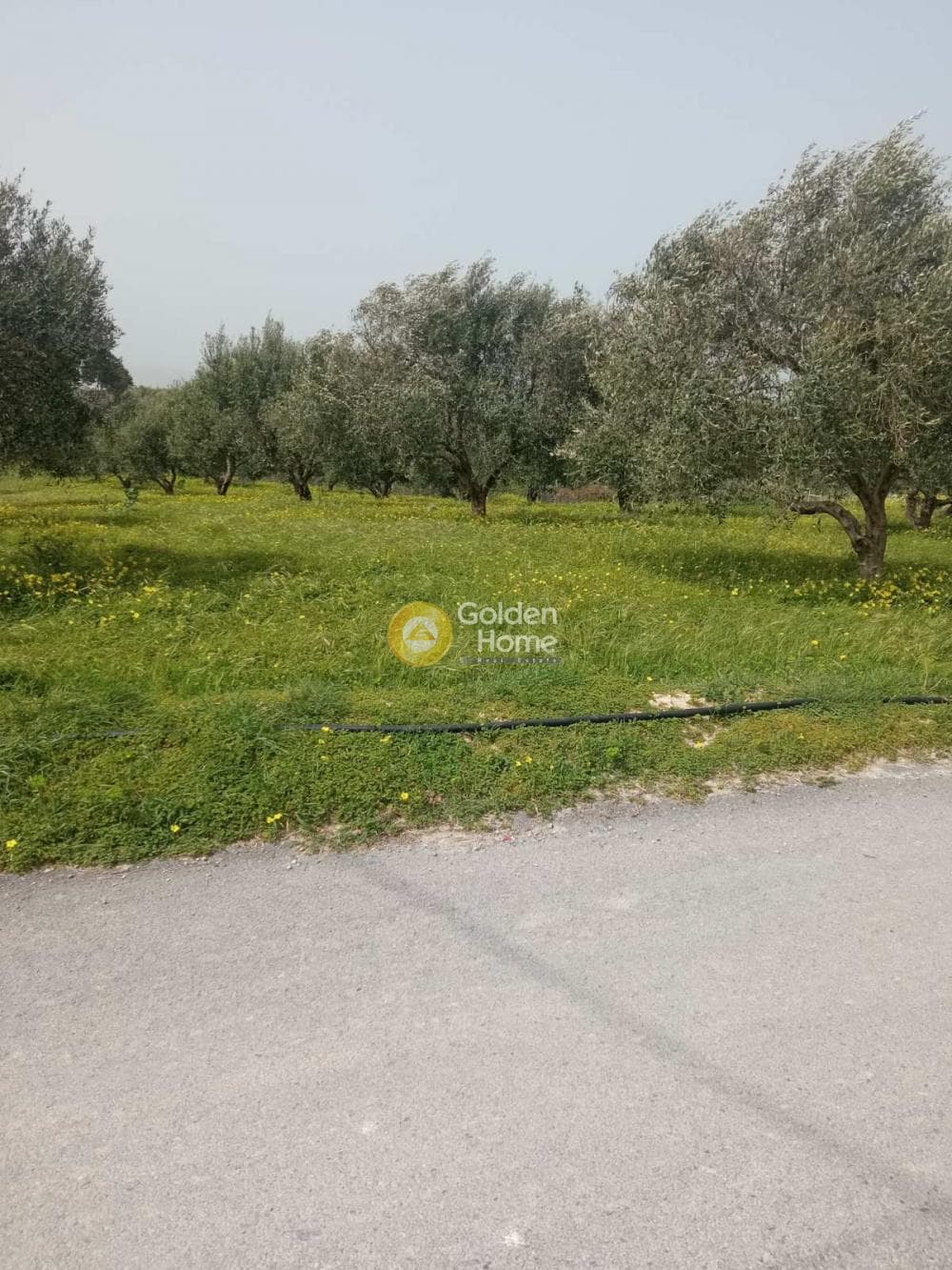 Building Plot in Sgourokefali, Episkopi — Photo 5 of 7