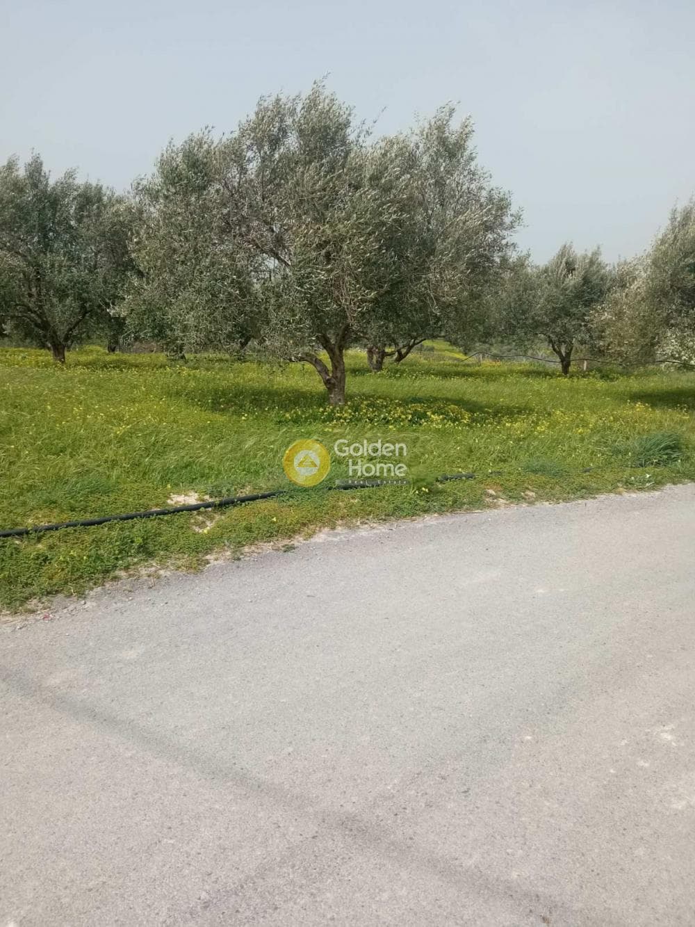 Building Plot in Sgourokefali, Episkopi — Photo 6 of 7