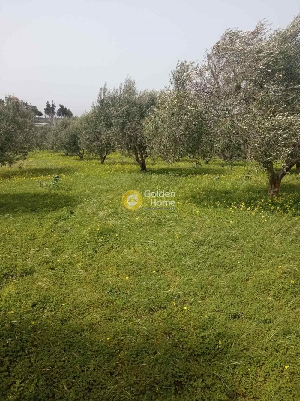 Building Plot in Sgourokefali, Episkopi — Photo 7 of 7