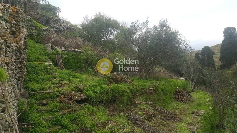 Οικόπεδο στην Δρυοπίδα, Κύθνος — Φωτογραφία 1 από 2