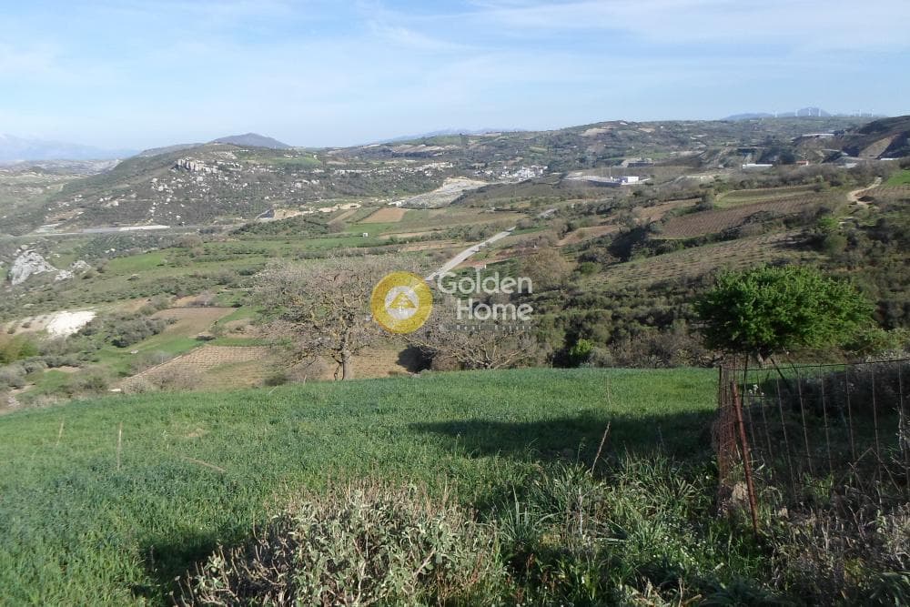 Αγροτεμάχιο στην Πρινιάς, Τετραχώρι — Φωτογραφία 1 από 2
