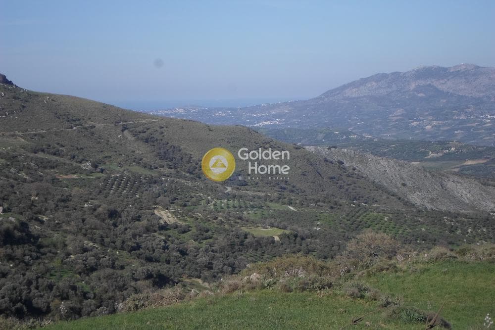 Αγροτεμάχιο στην Πρινιάς, Τετραχώρι — Φωτογραφία 2 από 2