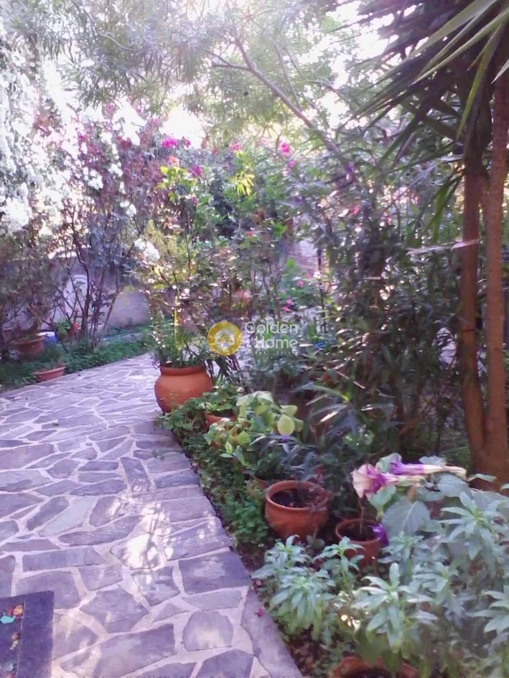 Μονοκατοικία στην Άγιος Μηνάς, Χίος — Φωτογραφία 2 από 28