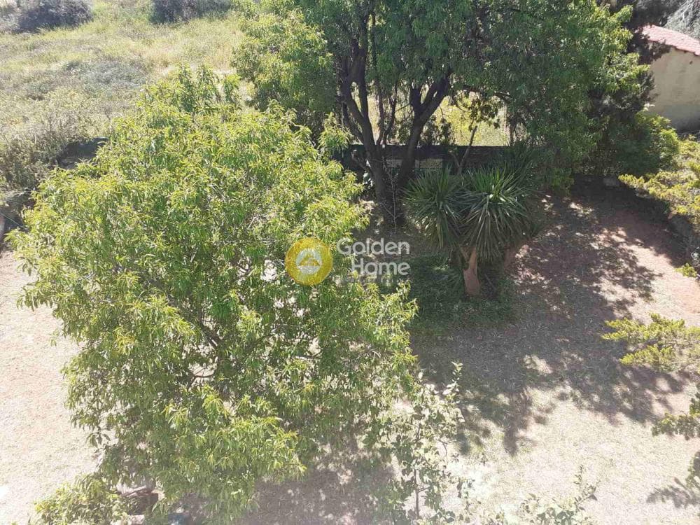 Μονοκατοικία στην Κέντρο, Γλυκά Νερά — Φωτογραφία 7 από 20