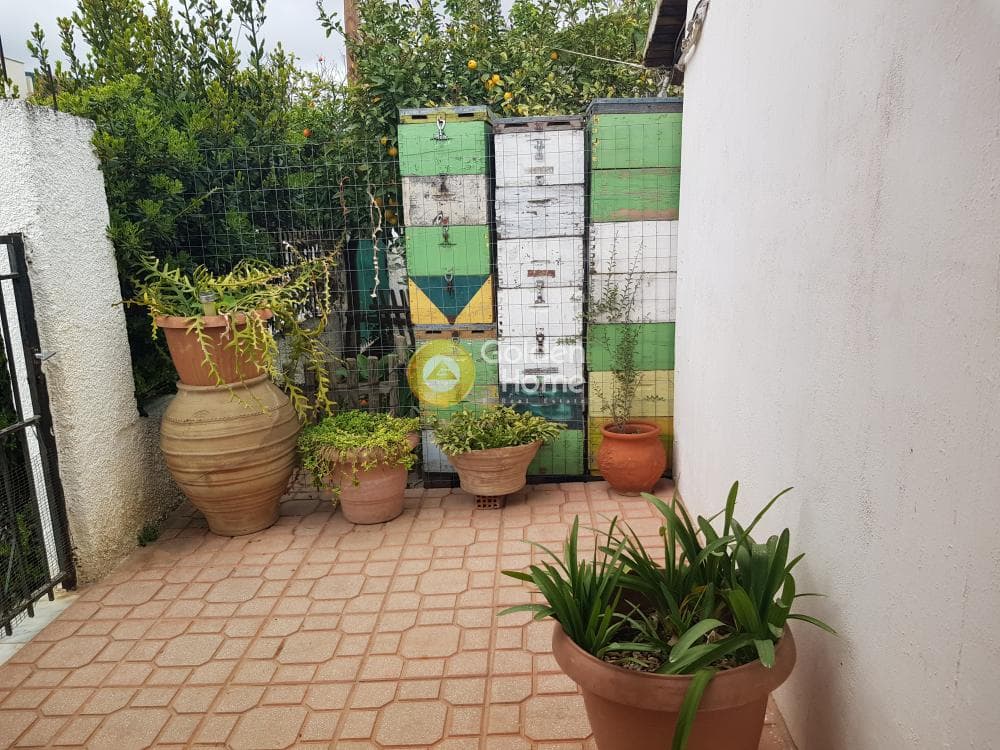 House in Ano Mpalana, Pallini — Photo 9 of 13