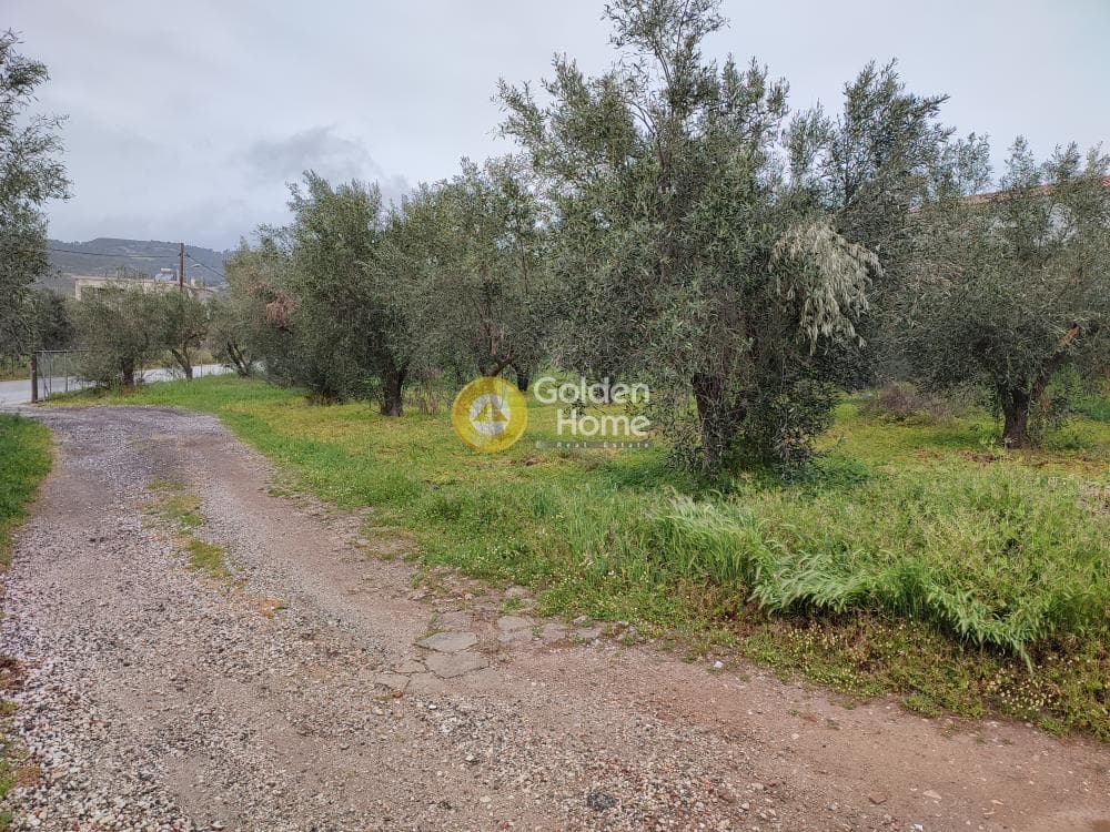 Μονοκατοικία στην Κέντρο, Μαραθώνας — Φωτογραφία 5 από 6