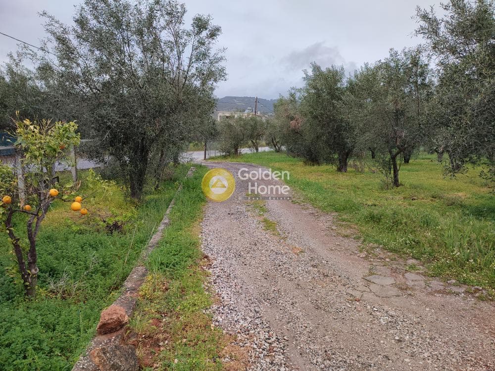 Μονοκατοικία στην Κέντρο, Μαραθώνας — Φωτογραφία 6 από 6