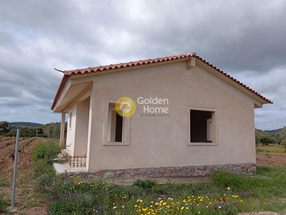 House in Elaionas, Anavissos — Photo 2 of 22