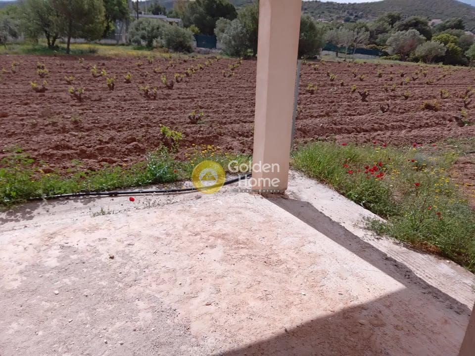 House in Elaionas, Anavissos — Photo 16 of 22