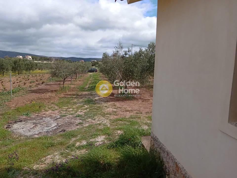 House in Elaionas, Anavissos — Photo 19 of 22