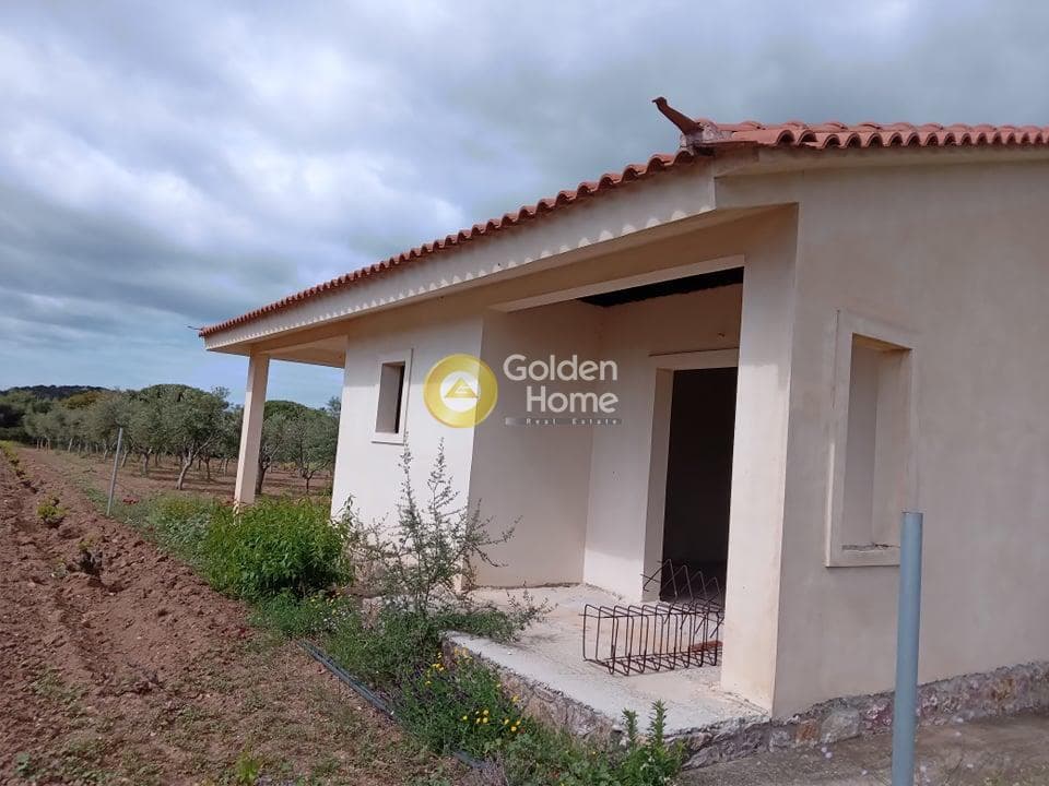 House in Elaionas, Anavissos — Photo 6 of 22