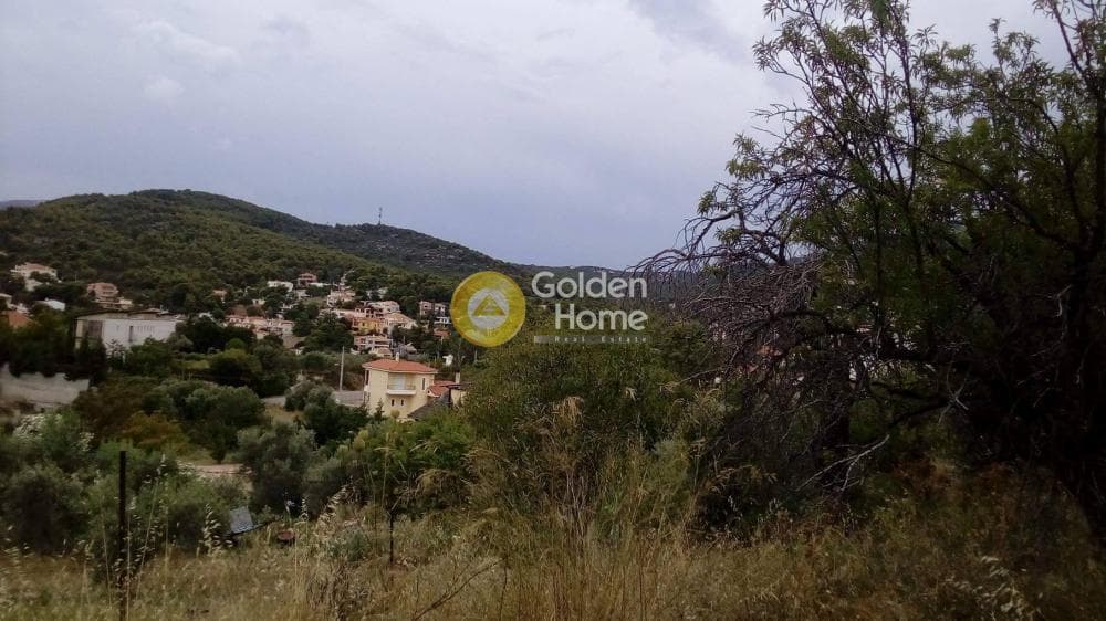 Αγροτεμάχιο στην Κιούρκα, Αφίδνες