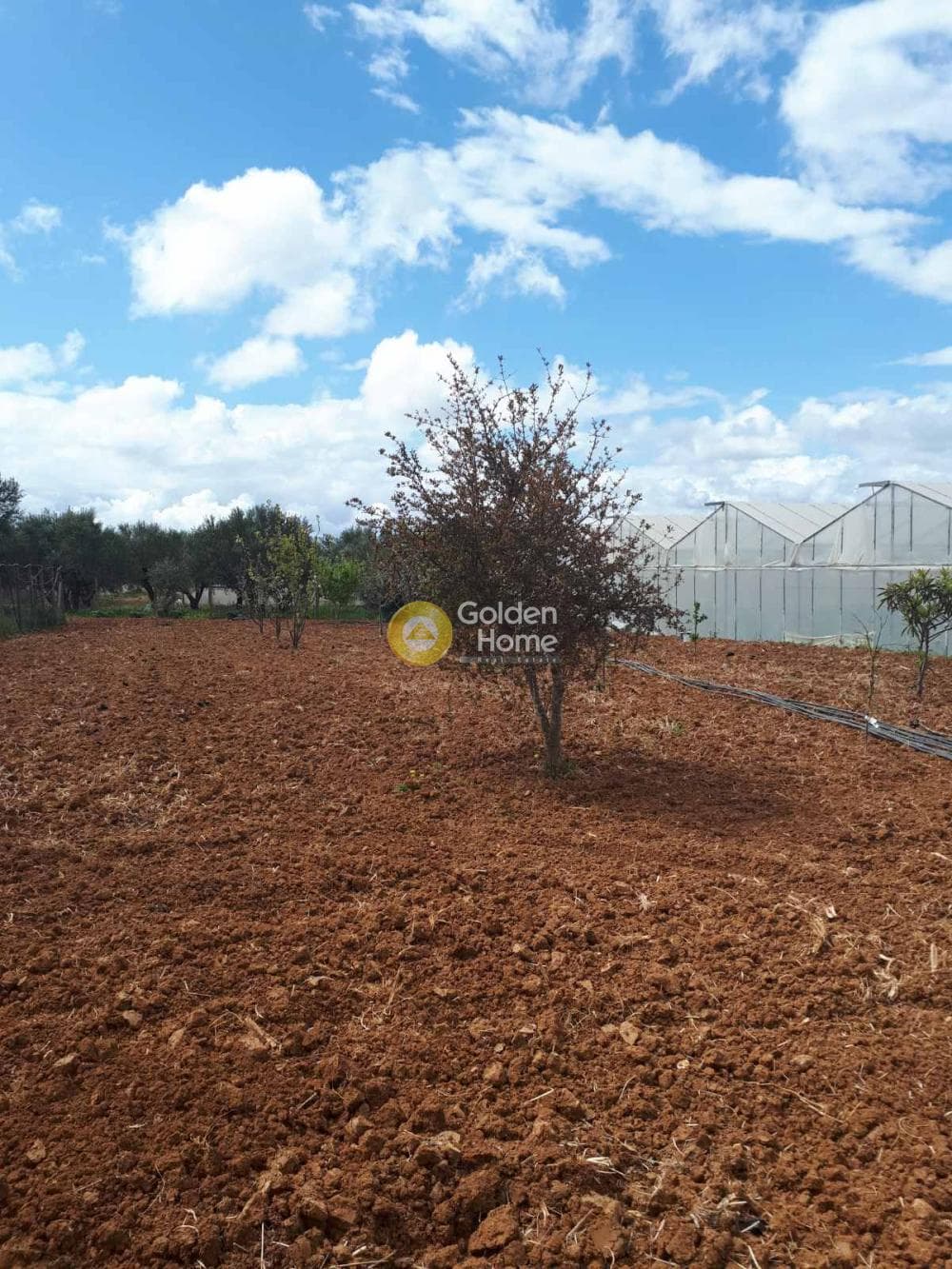 Parcel in Center, Arkalochori — Photo 1 of 4