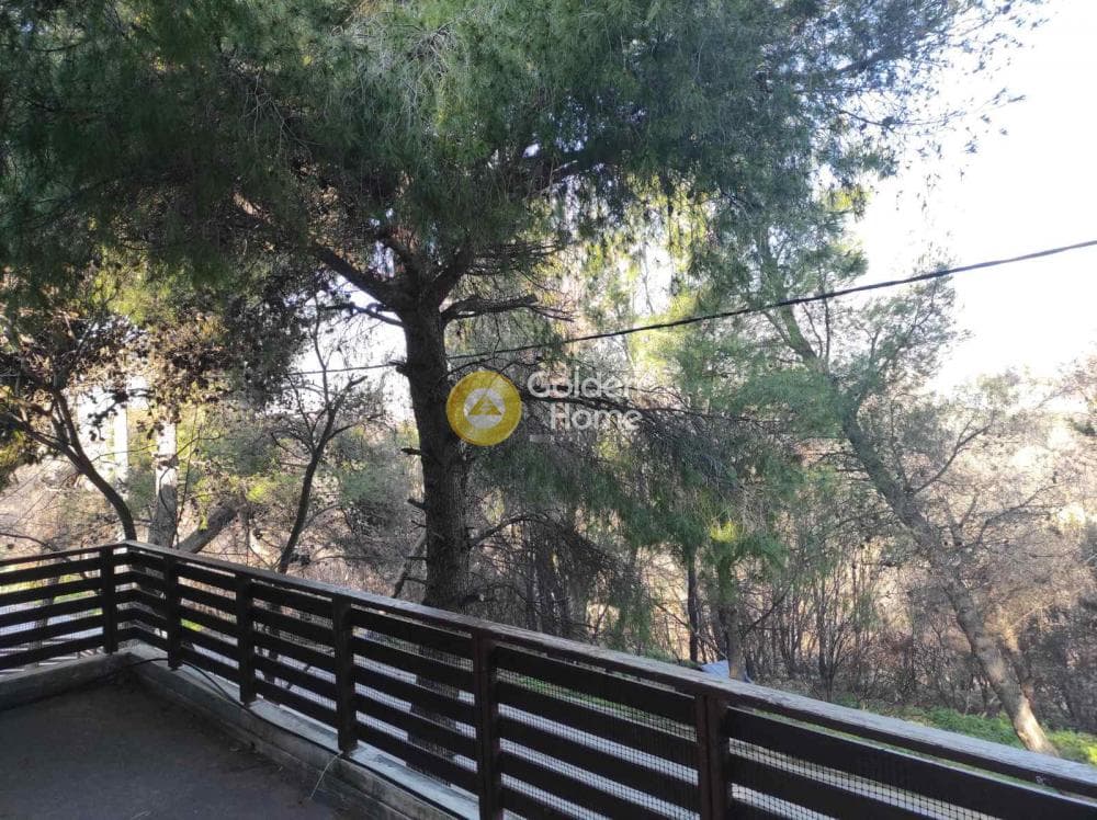 Οικόπεδο στην Αδάμες (Οικισμός Γράμμος - Φοίνικας), Κηφισιά — Φωτογραφία 2 από 5