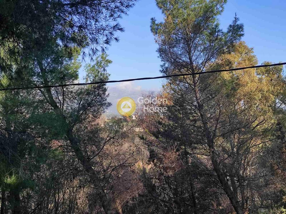 Οικόπεδο στην Αδάμες (Οικισμός Γράμμος - Φοίνικας), Κηφισιά — Φωτογραφία 5 από 5