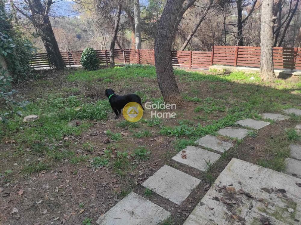 Οικόπεδο στην Αδάμες (Οικισμός Γράμμος - Φοίνικας), Κηφισιά — Φωτογραφία 1 από 5