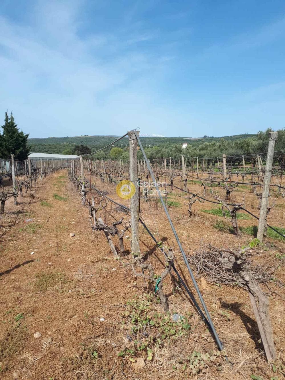 Building Plot in Roussochoria, Arkalochori — Photo 1 of 5