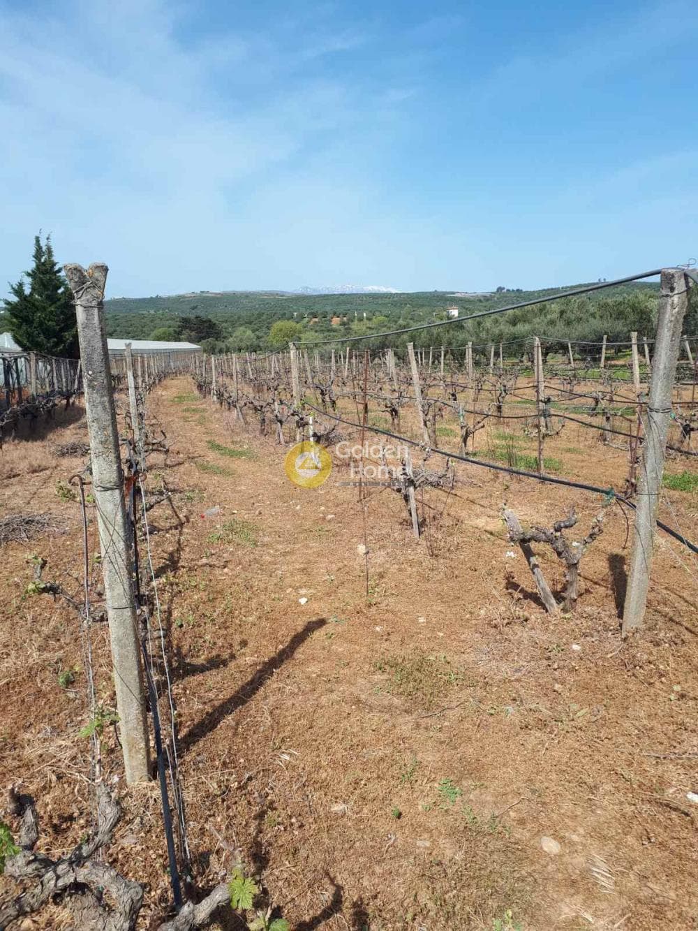 Building Plot in Roussochoria, Arkalochori — Photo 4 of 5