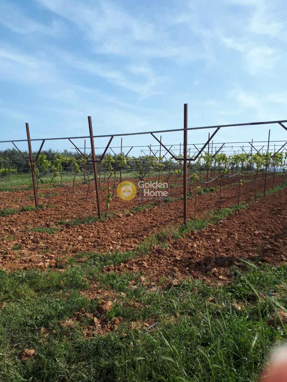 Building Plot in Roussochoria, Arkalochori — Photo 1 of 16