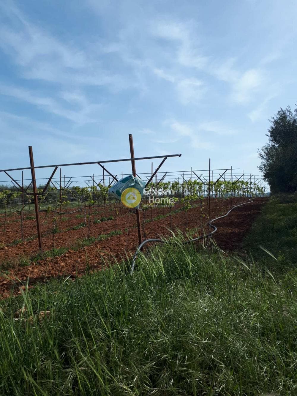 Building Plot in Roussochoria, Arkalochori — Photo 3 of 16