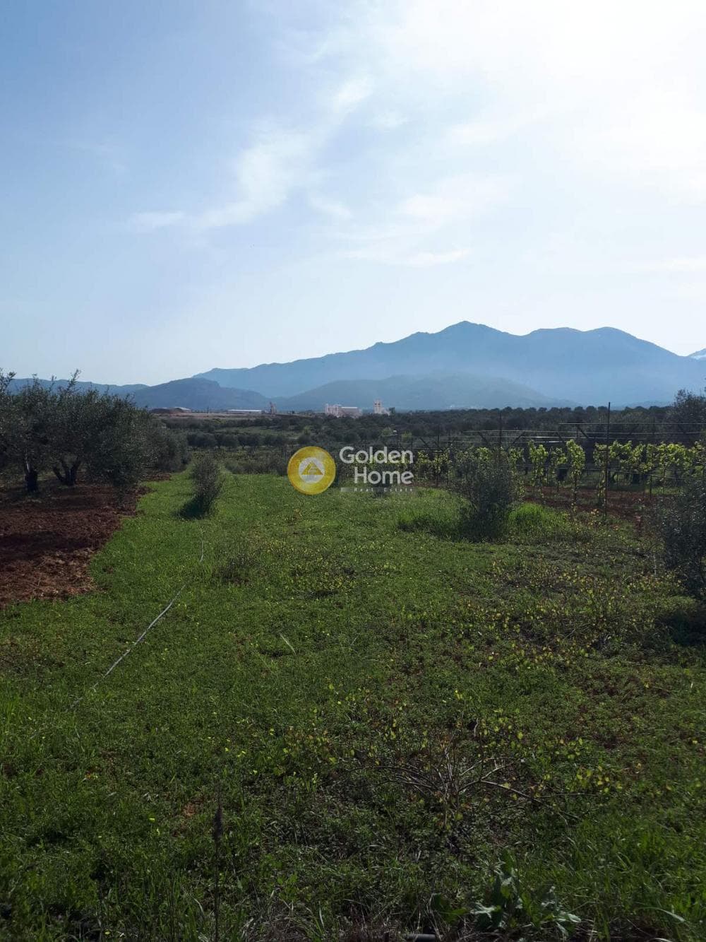 Building Plot in Roussochoria, Arkalochori — Photo 2 of 16