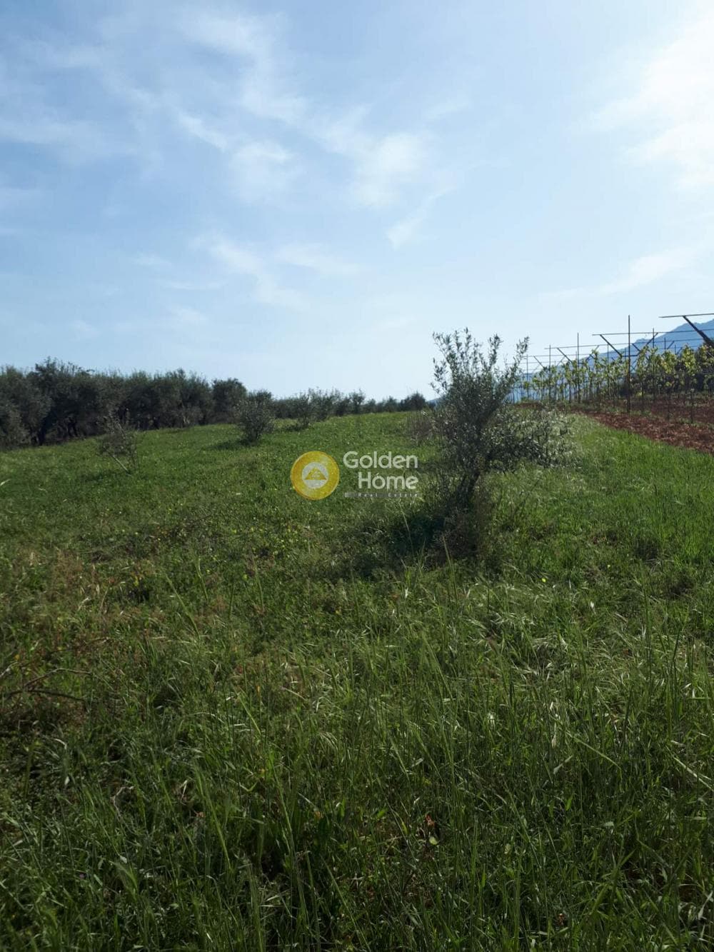 Building Plot in Roussochoria, Arkalochori — Photo 6 of 16