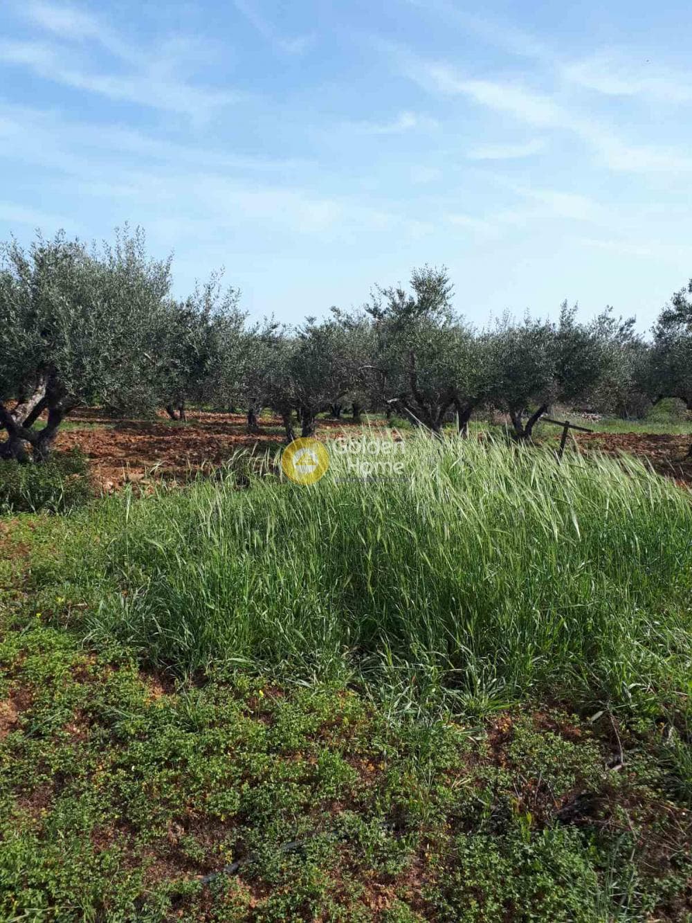 Building Plot in Roussochoria, Arkalochori — Photo 9 of 16