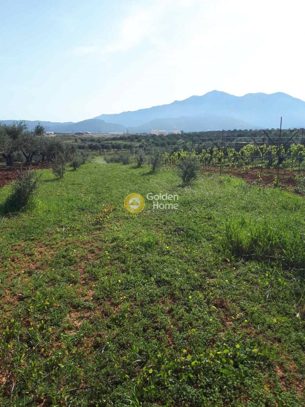 Building Plot in Roussochoria, Arkalochori — Photo 13 of 16