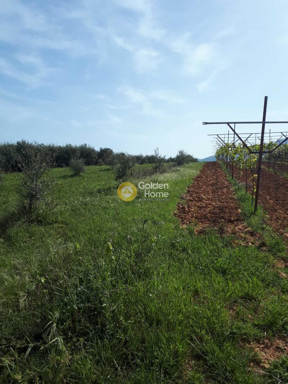 Building Plot in Roussochoria, Arkalochori — Photo 14 of 16