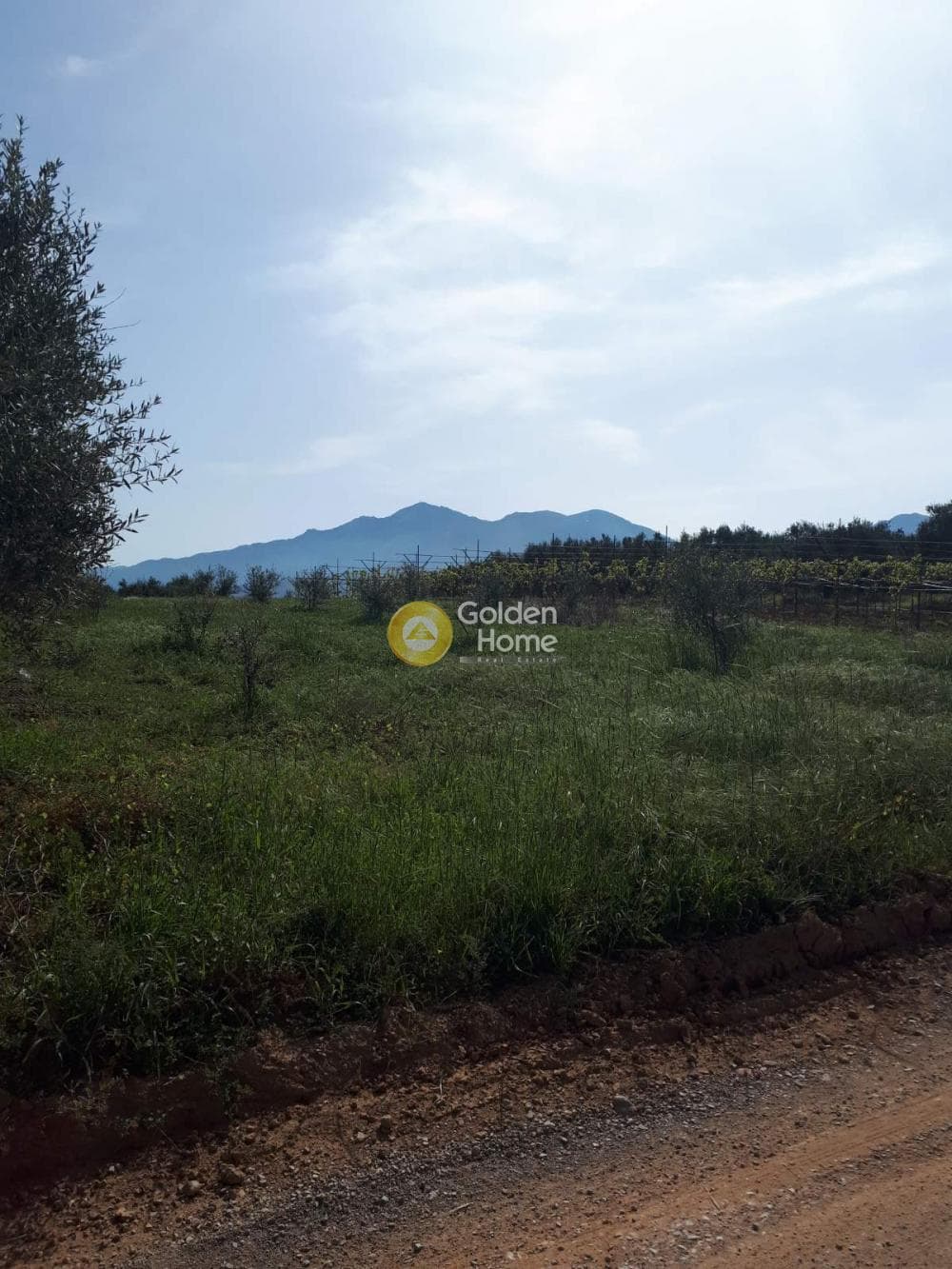 Building Plot in Roussochoria, Arkalochori — Photo 15 of 16