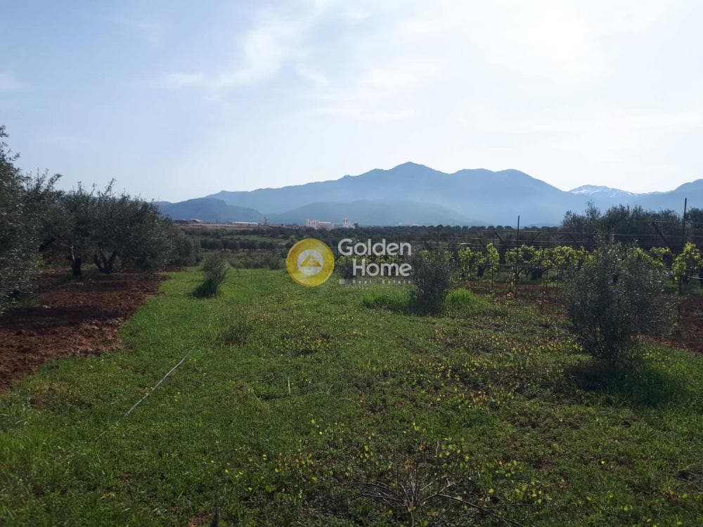 Building Plot in Roussochoria, Arkalochori — Photo 16 of 16