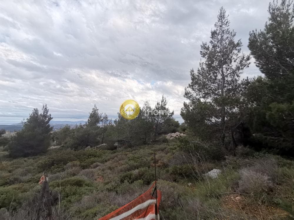 Οικόπεδο στην Δασαμάρι, Πικέρμι — Φωτογραφία 1 από 2