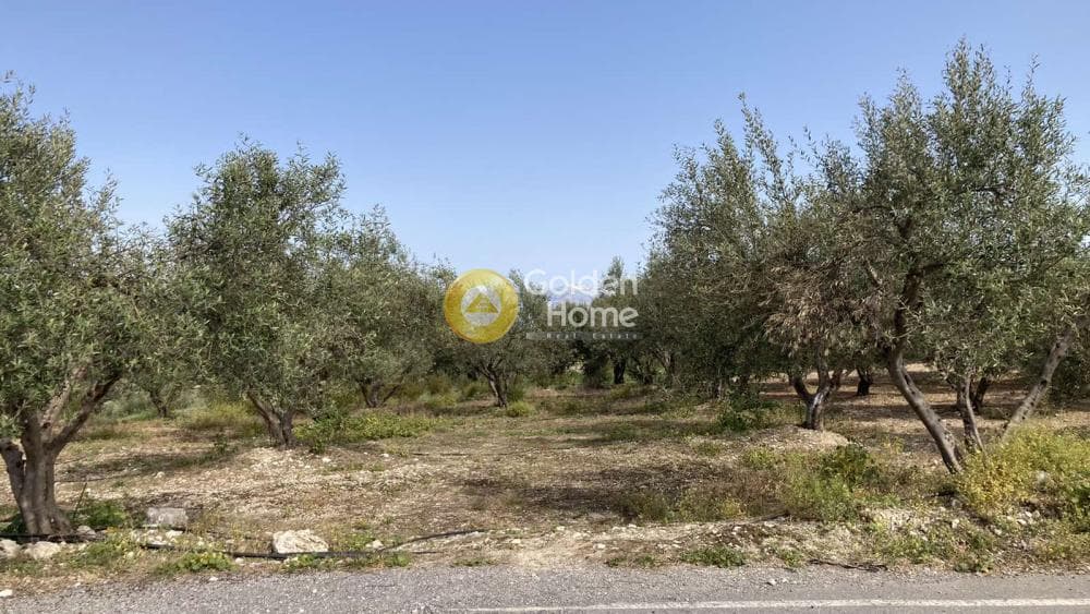 Building Plot in Kounavoi, Archanes — Photo 3 of 10