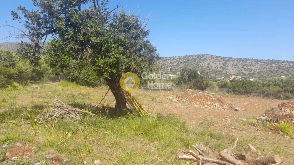 Οικόπεδο στην Σταλίδα, Μάλλια