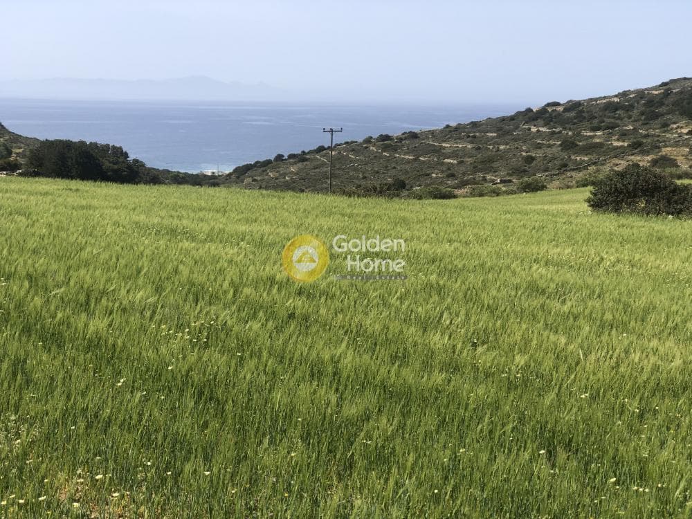 Parcel in Aliki, Paros — Photo 1 of 3