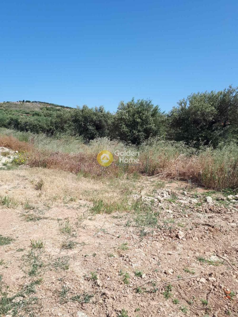 Building Plot in Sgourokefali, Episkopi — Photo 4 of 4